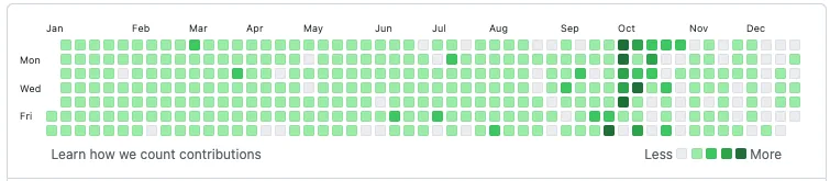A year of commits on the Dynamic Programming Journey repository, a near-solid green contribution graph.